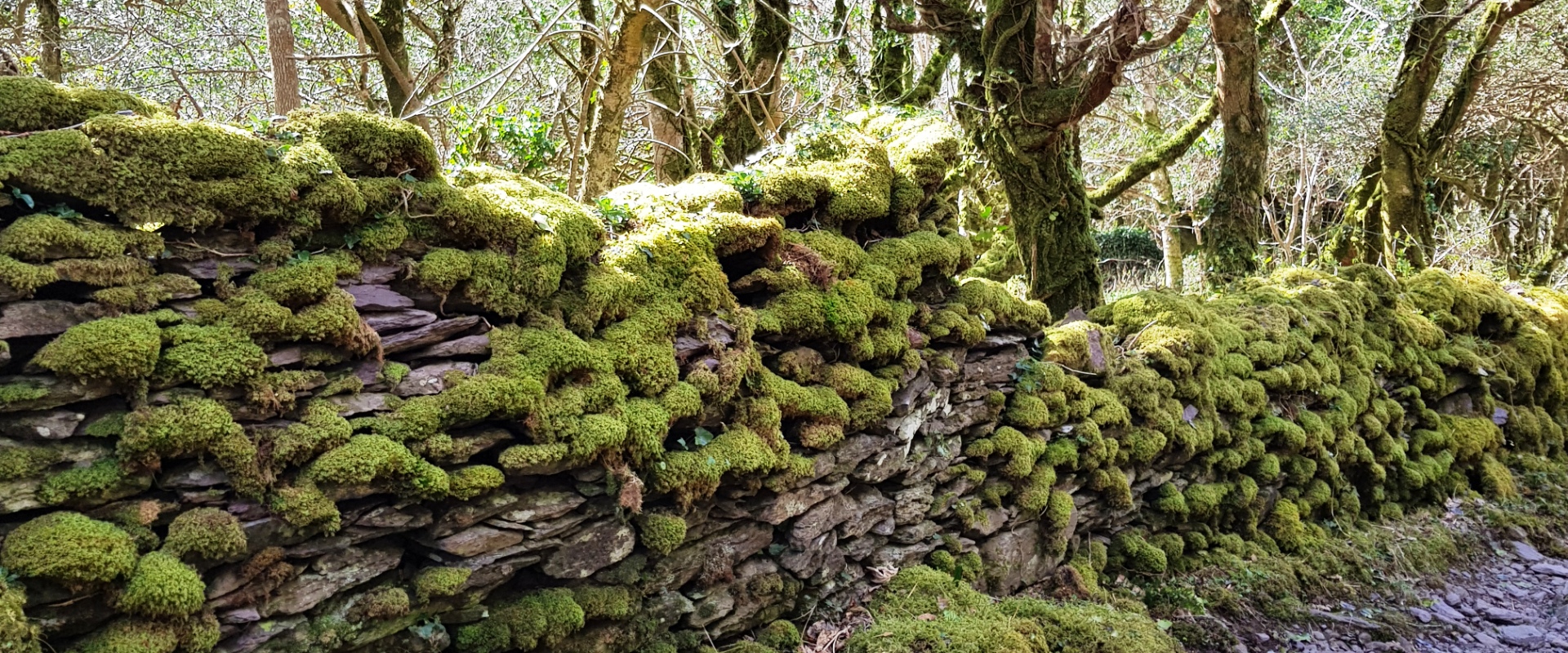 Ferienhaus Spunkane Hill Umgebung Derrynane More