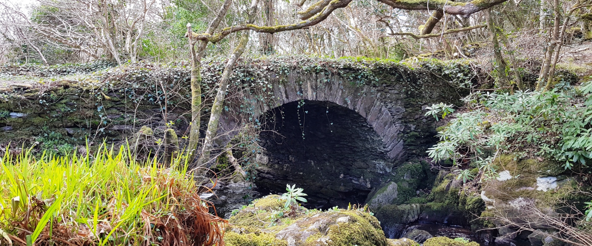 Ferienhaus Spunkane Hill Umgebung Kerry Way in Derrynane More